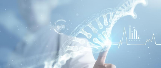 wms仓储管理系统 wms仓储管理系统